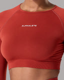 Amplify LS - Brick