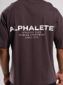 Stone Wash Alpha Tee - Walnut